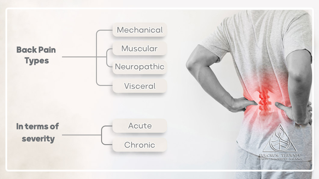 The 5 Types of Back Pain  Your Guide to Identifying Your Back Condition