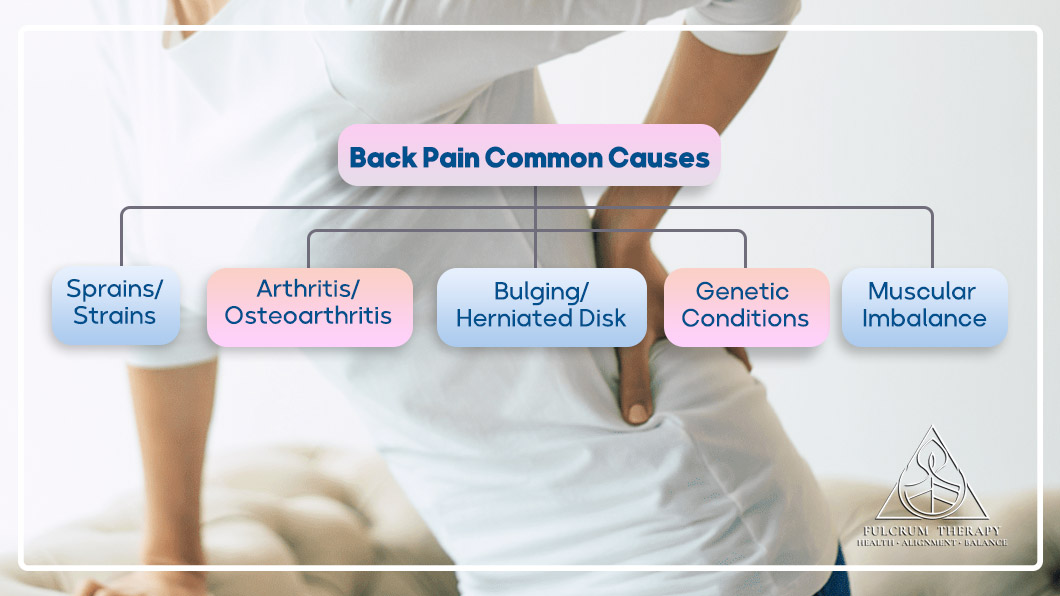 Back pain common causes include sprains, arthritis, disk problems, genetics, muscular issues, etc.