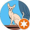 Isabelle Forrer Icon